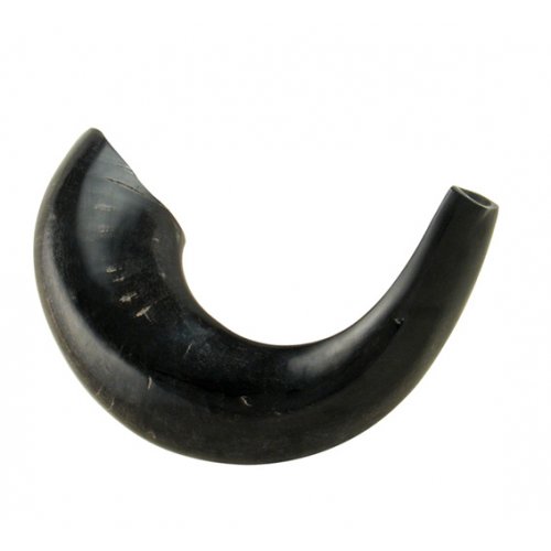 Polished Black Rams Horn Shofar - Medium