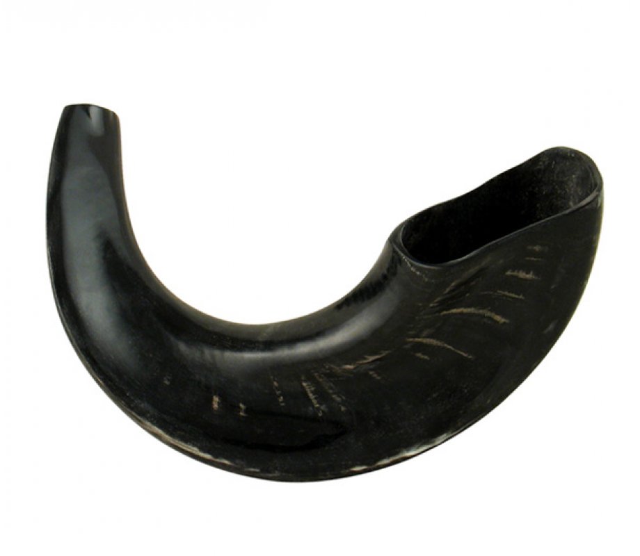 Polished Black Rams Horn Shofar - Medium