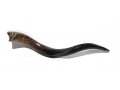 Polished Medium Yemenite Shofar