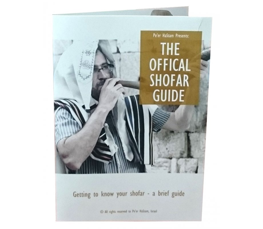 Polished Rams Horn Shofar - Medium Size