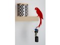 Polly the Parrot's Tail Shelf Hanger - ArtOri