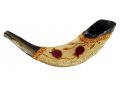 Pomegranate Painted Ram's Horn Shofar - Dark