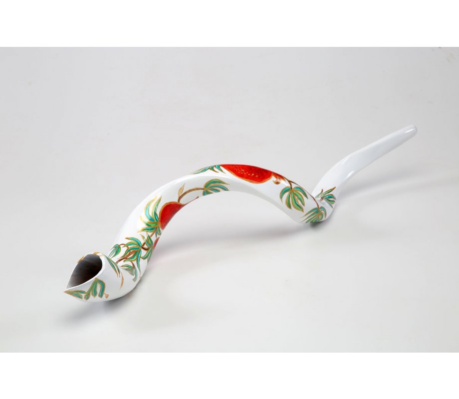 Pomegranate on White Background Hand Painted Yemenite Shofar