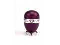 Prestigious Gleaming Anodized Aluminum Etrog Holder - Agayof