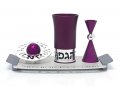 Purple Aluminum Havdalah Set by Agayof