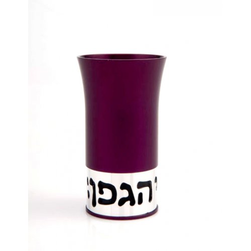 Purple Aluminum Havdalah Set by Agayof