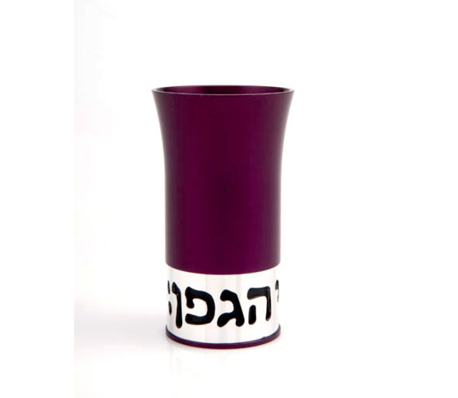 Purple Aluminum Havdalah Set by Agayof