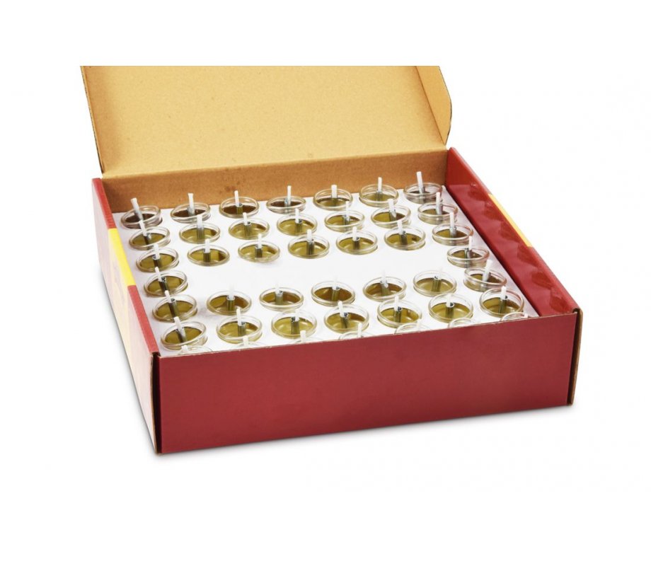 Ready to Light Chanukah Menorah, Pre filled Cups with Gel Olive Oil - Medium