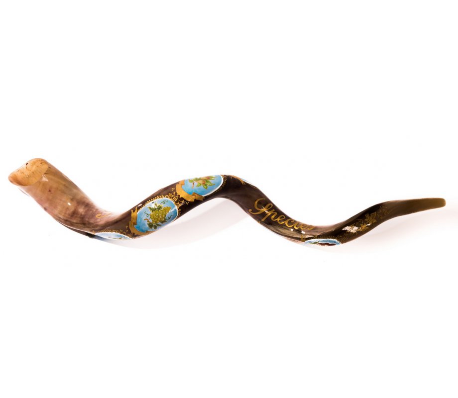 Seven Species Hand Painted Yemenite Shofar