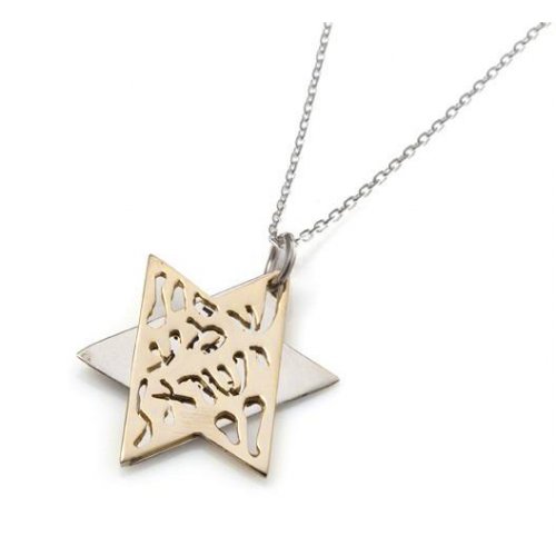 Shema Yisrael Star of David Two-Tone Pendant 9K Gold & Sterling Silver by HaAri Jewelry