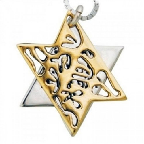 Shema Yisrael Star of David Two-Tone Pendant 9K Gold & Sterling Silver by HaAri Jewelry