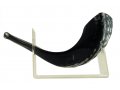 Shofar Stand Lucite for Small Ram's Horn Up To 15 Inches long