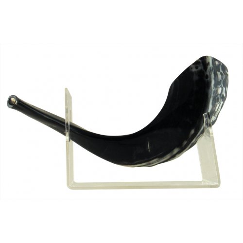 Shofar Stand Lucite for Small Ram's Horn Up To 15 Inches long