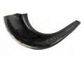Small Black Ram's Horn Shofar - Polished