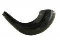 Small Black Ram's Horn Shofar - Polished