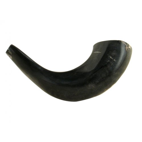 Small Black Ram's Horn Shofar - Polished