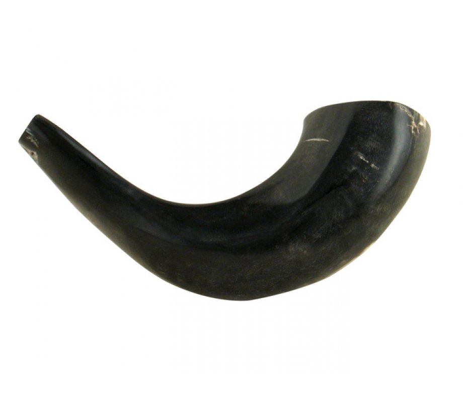 Small Black Ram's Horn Shofar - Polished