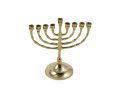 Small Brass Hanukkah Menorah with Curving Branches, For Candles - 6 Inches