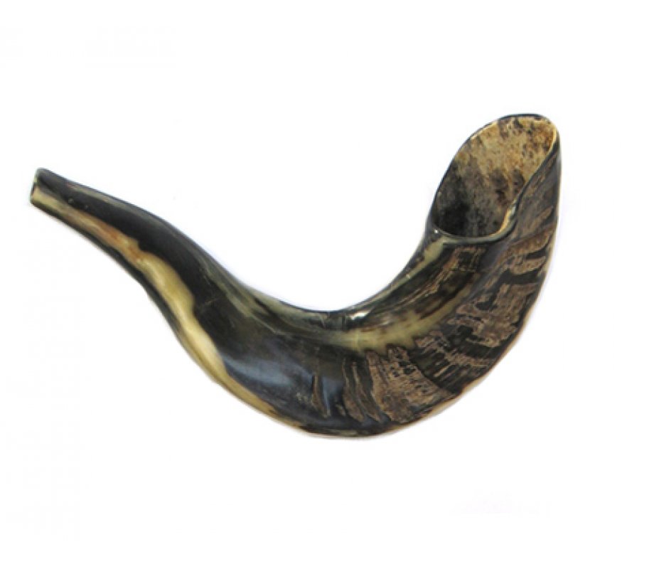 Small Shofar Rams Horn for Children - Dark Colors