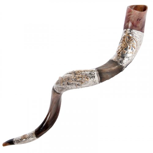 Sterling Silver Decorated Yemenite Shofar - Date Palm Coin