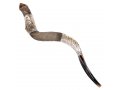 Sterling Silver Decorated Yemenite Shofar - Leaf