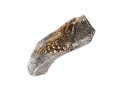 Sterling Silver Decorated Yemenite Shofar - Menorah