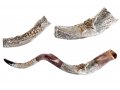 Sterling Silver Decorated Yemenite Shofar - Menorah and Star of David