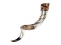 Sterling Silver Decorated Yemenite Shofar - Temple Menorah