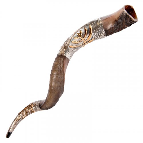 Sterling Silver Decorated Yemenite Shofar -Gold Menorah