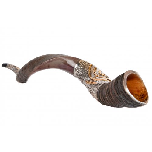 Sterling Silver Decorated Yemenite Shofar -Gold Menorah