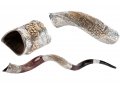 Sterling Silver Decorated Yemenite Shofar -Jerusalem