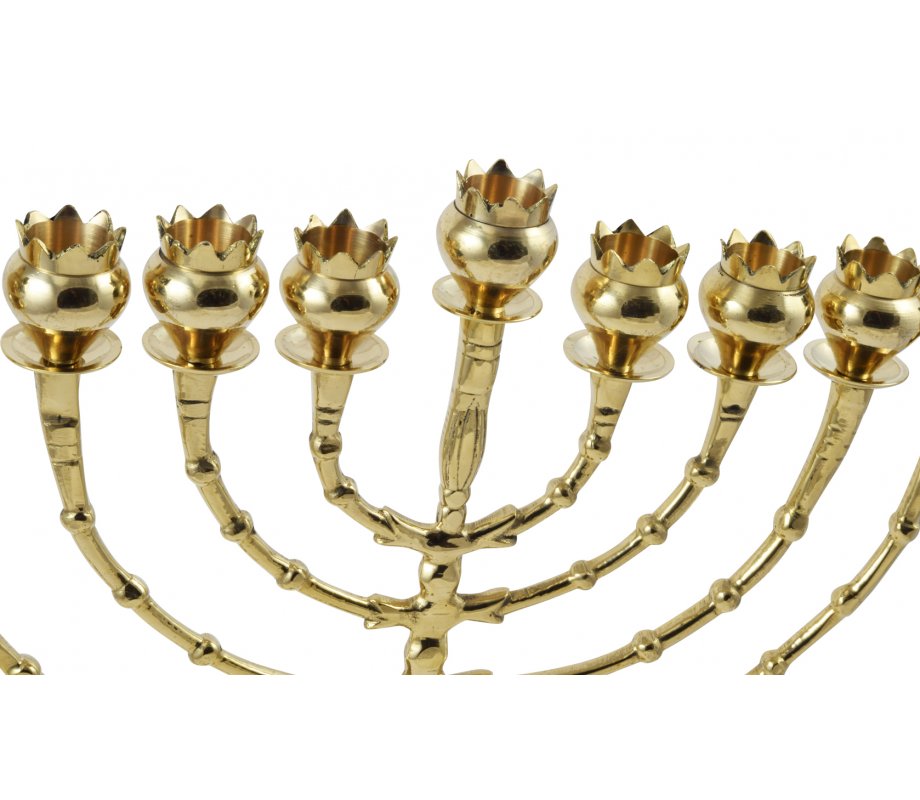Tall Bronze Chanukah Menorah, Pomegranate Shaped Cups - Height 16 Inches