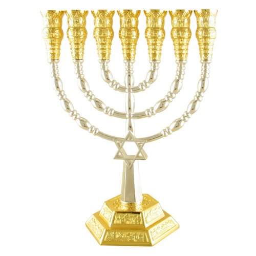 Two Tone Seven Branch Menorah - Star of David