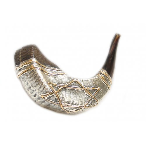 Two Tone Silver Ram's Horn Shofar