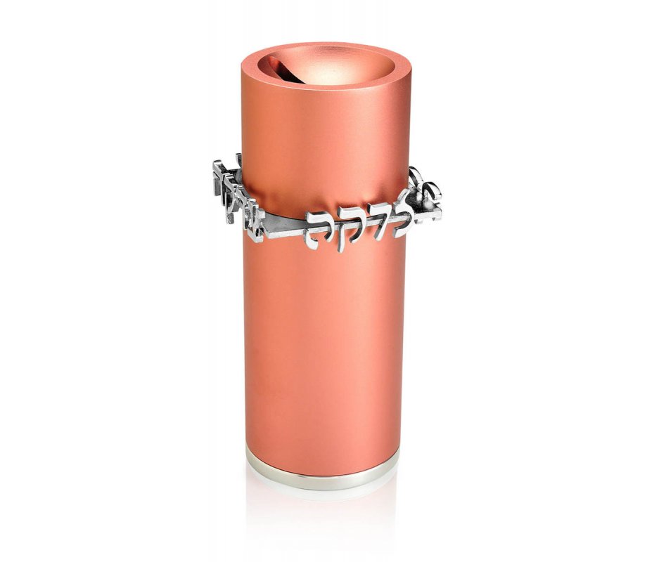 Tzedakah Box in Salmon Pink by Dabbah