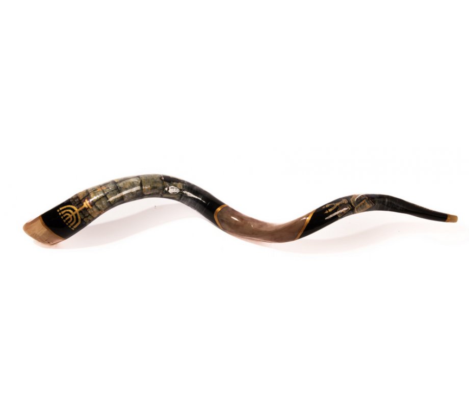 Western Wall Hand Painted Yemenite Shofar