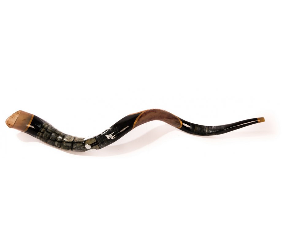 Western Wall Hand Painted Yemenite Shofar