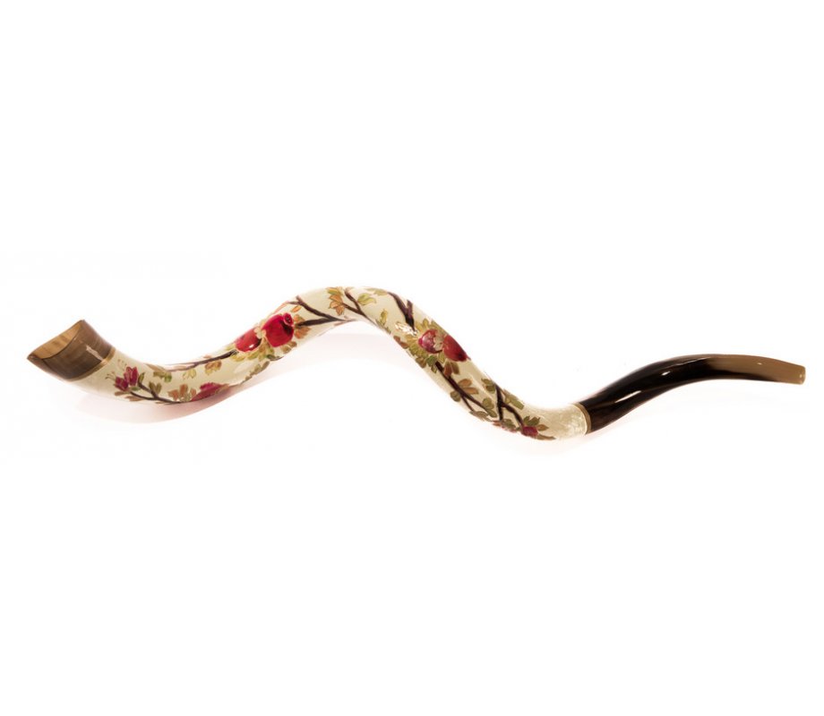 White Background Pomegranate Hand Painted Yemenite Shofar