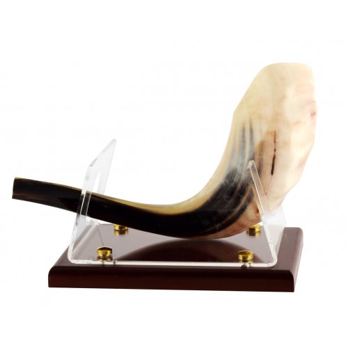 Wood Base Acrylic Stand for Ram's Horn Shofar