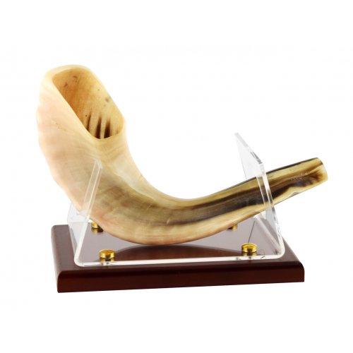 Wood Base Acrylic Stand for Ram's Horn Shofar