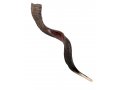 XL Half Polished Half Natural Yemenite Shofar