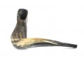 XL Natural Black Rams Horn Shofar