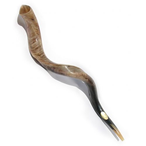 Yemenite Polished Shofar - Extra Large