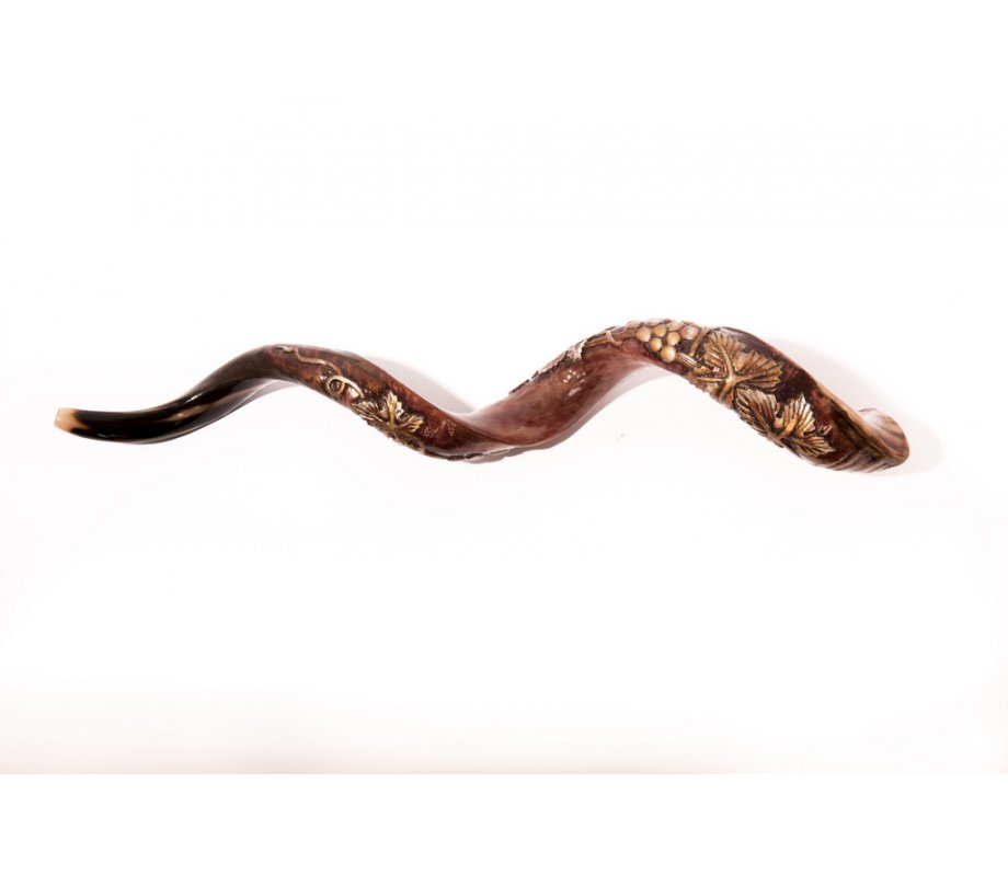 Yemenite Shofar with Hand Sculptured Grapevine Design