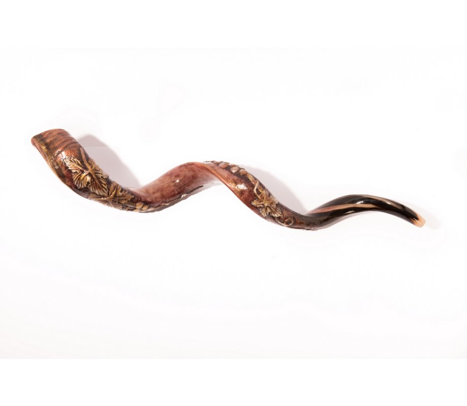 Yemenite Shofar with Hand Sculptured Grapevine Design