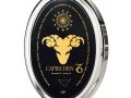 Zodiac Pendant - Capricorn